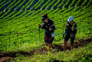 BIB: 
                            <button type="button" onclick="openModal(19160484)" class="btn btn-primary btn-sm float-right btn-popup" data-toggle="modal" data-target=".modal-high-quality">
                        <i class="fas fa-shopping-cart"></i> Add to Cart
                    </button>
                                            <button type="button" onclick="isThisMe(19160484, true)" class="btn btn-success btn-sm float-right btn-popup btn-isme hidden" data-toggle="tooltip" data-placement="bottom" title="นี่คือรูปของคุณใช่ไหม คลิกที่นี่เพื่อเอาเข้าอัลบั้ม">
                        <i class="fas fa-plus"></i> Add to album
                    </button>
                    <button type="button" onclick="isThisMe(19160484, false)" class="btn btn-warning btn-sm float-right btn-popup btn-isnotme hidden">
                        <i class="fas fa-ban"></i> Remove from album
                    </button>